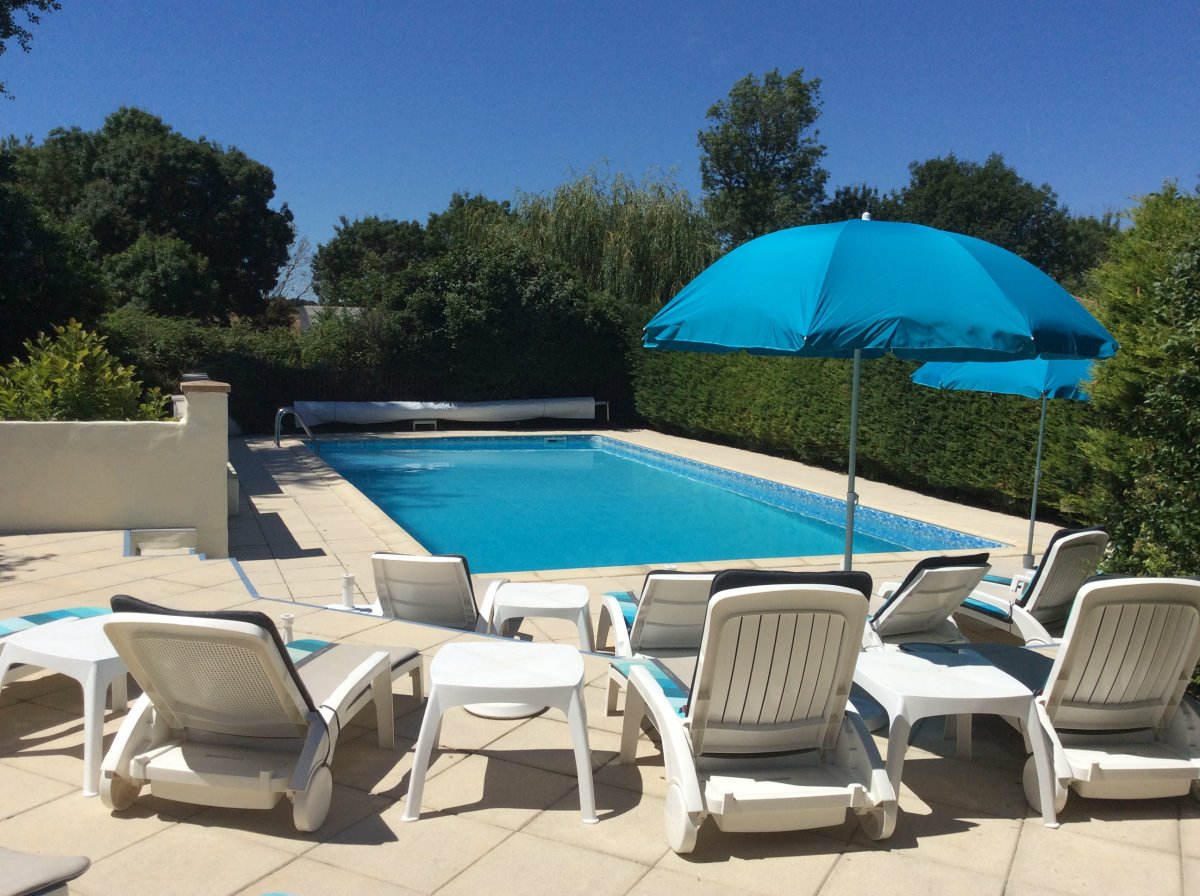 Pool bathed in sunshine from dawn to dusk